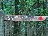 wp11eee832_28.jpg