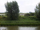 wp372f7139_28.jpg