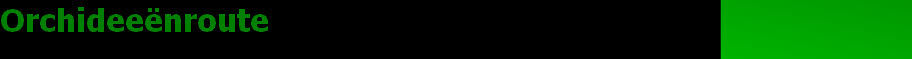 wp72bd62f5_28.jpg