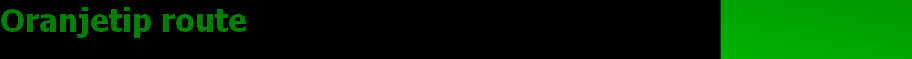 wp77dd0d9f_28.jpg