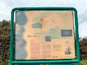 wp92d98153_28.jpg