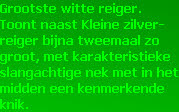 wpd1fe222e_28.jpg