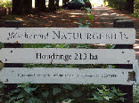 wpd2b786be_28.jpg