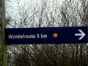 wpe70d77cd_28.jpg