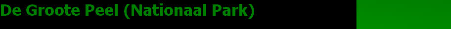 wpe7360667_28.jpg